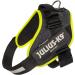 Buy IDC Powerharness XL/2 Jeans with Neon Edge Decoration - International Shipping Available - Buy Online on GoSupps.com