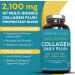 Viva Naturals Multi Collagen Pills - 120 Capsules | Premium Collagen Supplements - Buy Online on GoSupps.com