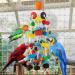 Buy Mymulike 15.7 Parrot Toys - Durable Wood Bird Chewing Toy for Cockatiel Finch Budgie & Amazon Parrots - International Shipping Available - Buy Online on GoSupps.com