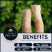 Sewak Al Noor Pack of 5 Miswak Sticks with Holder - Natural Flavored Chew Sticks for Teeth Whitening & Fresh Breath - Vacuum Sealed Oral Health Kit - Buy Online on GoSupps.com