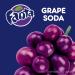 Buy Fanta Grape 12 oz (355 mL) 12 Pack - International Shipping & 3.00 Euro DPG-DEPOSIT - Buy Online on GoSupps.com