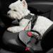 Dogxi 5m Retractable Dog Leash for Small & Medium Dogs - Adjustable Black Belt with Carabiner Perfect for Car Use - 25kg Capacity - Buy Online on GoSupps.com
