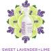 Sapadilla Sweet Lavender + Lime Biodegradable Countertop Cleanser Spray  16 Ounce  (Pack of 1) - Buy Online on GoSupps.com