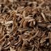 Buy Bremer Gew rzhandel Cumin Seeds (75g) - Whole Cumin for Cooking - International Shipping Available - Buy Online on GoSupps.com