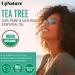 UpNature Organic Tea Tree Oil - 100% Pure Essential Oil for Skin Hair & Toenails - 2oz (Pack of 1) - International Shipping Available - Buy Online on GoSupps.com