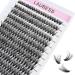 LAUBESS - Cluster Lashes 240pcs 40D DIY Eyelash Extension D Curl Long Individual Lashes Mixed Tray Faux Mink Lash Clusters Extensions 0.07 0.10 Black - 40D-0.07D-9-16mm