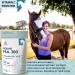 PURICA Equine HA - Horse Joint Supplement with Hyaluronic Acid and Vitamin C 990g - Ideal for Equine Health & Recovery 990 g (Pack of 1) - Buy Online on GoSupps.com