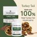 Organic Turkey Tail Mushroom Extract Powder - 45 Servings for Immune Support & Wellbeing | Vegan & Non-GMO - Buy Online on GoSupps.com