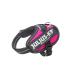 IDC Powerharness Size: 2XS/Baby 2 Dark Pink Dark Pink 2XS/Baby 2