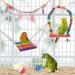 Ciciglow Colorful Bird Swing Toys - Parrot Swing with Stainless Steel Chain Ladder Bells & Balls - Ideal for Birds - Buy Online on GoSupps.com