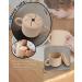 DF DUALFERV Toddler Snack Cups | Baby Snack Containers - Beige - Buy Online on GoSupps.com