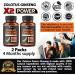 Korean Red Panax Ginseng + Ginkgo Biloba 2800mg 2-Pack with Ashwagandha, Beetroot, Green Tea Extract - Boost Energy, Mood & Stamina - 240 Capsules - Buy Online on GoSupps.com