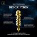 Doja Barcelona Pendula Isis Bronze 5cm | Esoteric Prophecy Pendulum | Bronze Pendulum for Divination - Buy Online on GoSupps.com