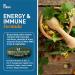 Dr. Tobias Adult Multivitamin 90 Tablets - Essential Daily Formula for Optimal Health - Buy Online on GoSupps.com
