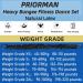 PRIORMAN Bungee Fitness Equipment Set Heavy Cord Bungee Dance Resistance Belt Rope Workout Fitness Gym Professional Training Equipment L: 154-176 lbs - Buy Online on GoSupps.com