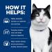 Hill's Prescription Diet i/d Digestive Care Cat Food 8.5lb - Veterinary Diet - Buy Online on GoSupps.com