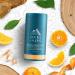 Oars + Alps Aluminum Free Deodorant for Men and Women Dermatologist Tested and for Sensitive Skin Vegan Mandarin Woods 1 Pack 2.6 Oz 1ct - Mandarin Woods - Buy Online on GoSupps.com