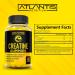 Creatine Monohydrate Gummies - 5g Strength & Performance Chews for Muscle Growth & Recovery - 60 Count - Buy Online on GoSupps.com