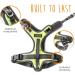Mighty Paw Sport Harness 2.0 - Padded Adjustable Dog Harness with Reflective Seams (X-Large Green) | International Shipping Available - Buy Online on GoSupps.com