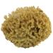 Natural Sea Wool Sponge 4-5 by Awesome Aquatics   Amazing Natural Renewable ResourceCreating The in Home Perfect Bath and Shower Experience