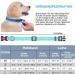 Haapaw Reflecting Dog Collar - Padded Neoprene Breathable Nylon for Small & Medium Dogs - Turquoise - Durable & Comfortable (1-Pack) - Buy Online on GoSupps.com