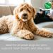 Meta Title: GNC Pets Ultra Mega Fish Oil Supplement for Dogs - Hip & Joint Health, Shedding Support - 16oz Beef Flavor - Buy Online on GoSupps.com