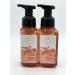 Bath and Body Works Gentle & Clean Foaming Hand Soap 8.75 fl. oz. (Aromatherapy Orange Ginger 2-Pack)