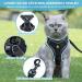 Adjustable Cat Dishes for Cats & Kittens - Black - Optimal Feeding Solution for Dogs & Puppies - Buy Online on GoSupps.com