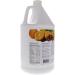 HIGH PERFORMANCE FITNESS INC. 1st Step For Energy Vitamins And Minerals Citrs 1gal - Buy Online on GoSupps.com