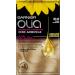 Garnier Olia Permanent Hair Colour without Ammonia with Nourishing and Natural Oils Full Grey Hair Coverage Permanent Colouration No. 10.0 Light Blonde 3 x 1 Piece 10.0 Extra Light Blonde - Buy Online on GoSupps.com
