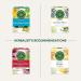 Traditional Medicinals - Organic Spearmint Herbal Tea (Pack of 6) - Refreshing and Minty - 96 Tea Bags Total Tea Spearmint 16 Count (Pack of 6) - Buy Online on GoSupps.com