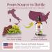 Organic Grape Seed Oil - Bella Terra 4oz | Nourish Skin with Vitamins & Procyanidins - Buy Online on GoSupps.com