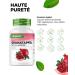 Pomegranate Extract - 240 Vegan Capsules - Premium Natural Extract with 40% Ellagic Acid - High Dosed - Vegan - Buy Online on GoSupps.com