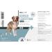 ReaVET Cod Liver Oil & Salmon Oil for Dogs & Horses 1L | Omega 3 Rich BARF Oil | Premium Fish Oil Supplement - Buy Online on GoSupps.com