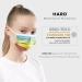 Rainbow Classic 100pc Disposable Face Masks - Small Size - Made in Germany - Breathable Triple Layer - CE Certified - 99.78% Filtration - Elastic Earloops - Buy Online on GoSupps.com