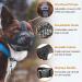 Breathable Dog Muzzle | Adjustable Mesh Muzzle for Dogs | Comfortable & Durable Maulkorb in Gray - Buy Online on GoSupps.com