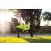 4Legriend Dog Safety Vest - High Visibility XL in Yellow | Outdoor Protection for Dogs 5 Sizes Day & Night Safety from Cars & Hunting Accidents - Buy Online on GoSupps.com