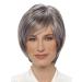 Lofty Wig Sabine - Premium Synthetic Hair Wig in Slate with Light Streaks | Realistic Look - Buy Online on GoSupps.com
