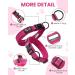 Buy PETTOM Adjustable Nylon Dog Collar - Breathable Reflective Design for All Sizes | Rose L Pink - Buy Online on GoSupps.com
