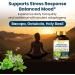 FocusBotaniQ Ginkgo Biloba Turmeric Bacopa Brain Supplement - Memory Mood & Focus Support - 10 in 1 Superfood Herbal Cognitive Complex for Concentration Energy & Brain Booster - 60 Vegan Capsule - Buy Online on GoSupps.com