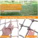 Outdoor Rope Net Climbing Cargo Net for Treehouse Protection Wall Balcony Banister Protection Fence Playground Netting (1 * 2m(3.3 * 6.6ft)) () - Buy Online on GoSupps.com