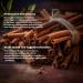 James Spices Inc. Cinnamon Sticks - Fragrant Spice Delight - 2 Oz Jar - Buy Online on GoSupps.com