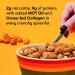 Keto Cereal - Low Carb, Zero Sugar, Grain Free Protein Cereal | Keto Snacks - Great Keto Breakfast Option (Honey Nut) - Buy Online on GoSupps.com