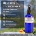 Vitali-Chi Essential Oil Spray Made from Ho Leaf & Frankincense | Stress Relief & Mood Enhancement | Air Freshener Aura & Room Spray 50 ml - Buy Online on GoSupps.com