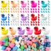 120Pcs Resin Mini Ducks Tiny Ducks Mini Resin Animals to Hide with Sunglasses Miniature Ducks for Dollhouse Crafts Garden Landscape Ornament Aquarium DIY Accessories Potted Decorations (10 Colors) Regular