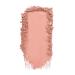 Shop wet n wild Pampered Blush Flower Power - Vibrant and long-lasting blush shade - Buy Online on GoSupps.com