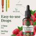 HERBAMAMA Raspberry Ketones Supplement - Vegan Antioxidant & Overall Support with Raspberry Ketones Extract Tincture - Non-GMO Alcohol & Sugar-Free Liquid Drops 84-Day Supply 2 Fl Oz (Pack of 1) - Buy Online on GoSupps.com