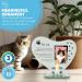 My Cat Glass Memorial Candle Holder and Photo Frame | Grief Sympathy Gift for cat Owners | Memorial plaques for Pets | cat Frame Memorial | Remembrance for cat | cat Candle Holder | in Memory of pet - Buy Online on GoSupps.com