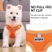 Rennaio Adjustable No-Pull Dog Harness & Leash Set - Ultra Breathable Padded Harness for Small & Medium Dogs (Pumpkin XL) - Perfect Puppy Dishes with Linen Clips - Buy Online on GoSupps.com
