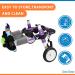 HeoBam Dog Wheelchair - for Small Dog Adjustable Dog Wheelchair for Hind Legs Rehabilitation Pet Rehabilitation Cart Handicap Wheels for Dogs Convenient Dog Wheelchair(XS(B)) - Buy Online on GoSupps.com